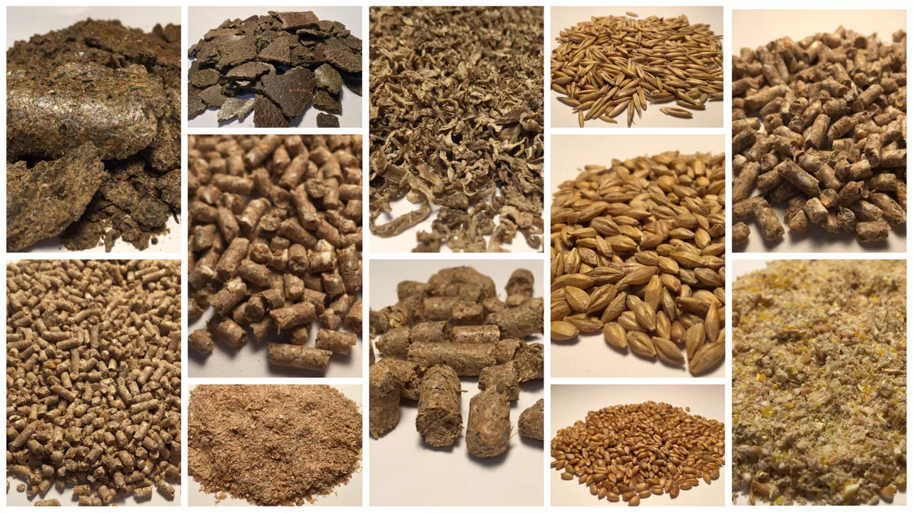 Производство комбикорма