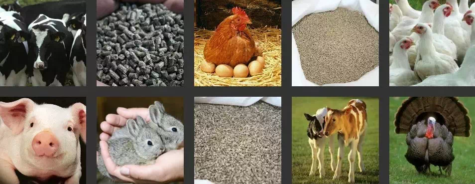 Производство комбикормов